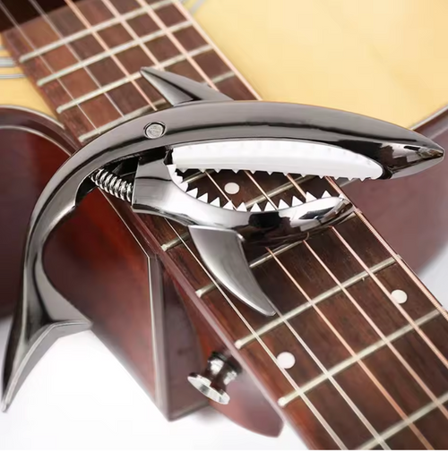 Shark Capo™️